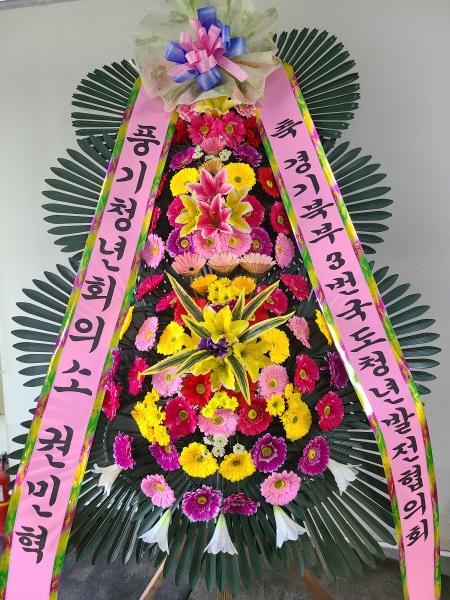 업로드 이미지