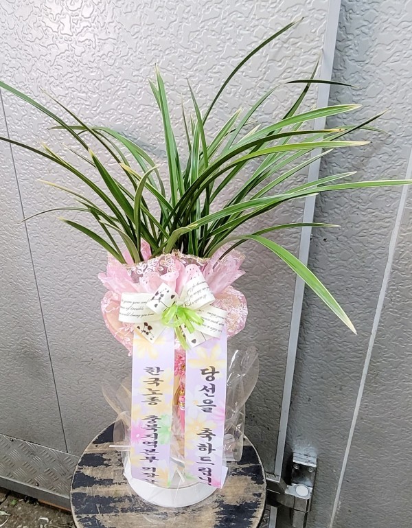 업로드 이미지