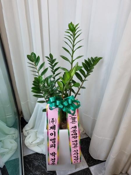 업로드 이미지