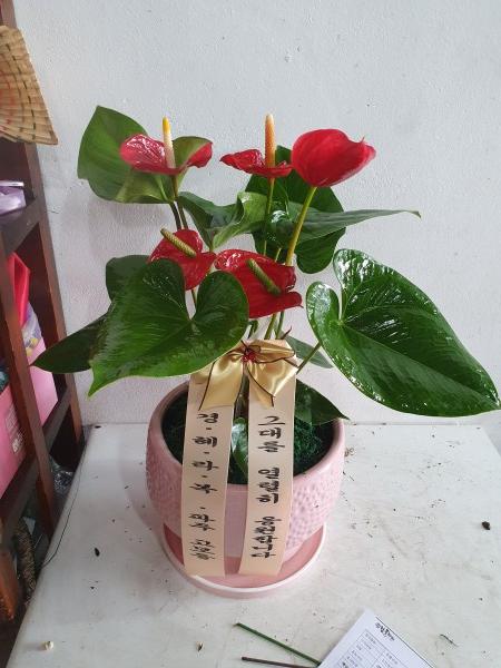 업로드 이미지