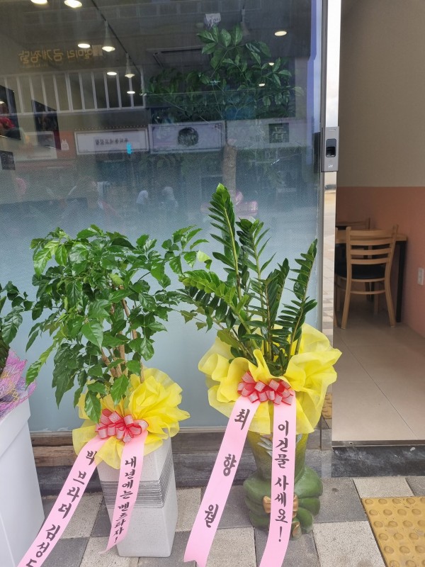 업로드 이미지