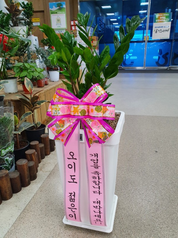 업로드 이미지