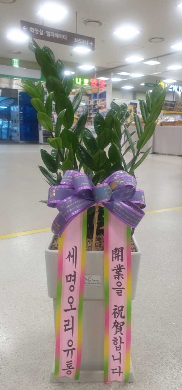 업로드 이미지