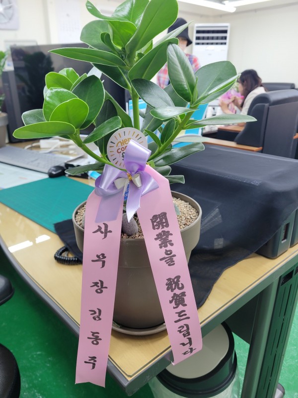 업로드 이미지