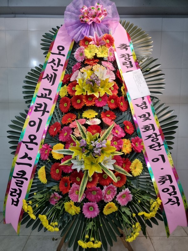 업로드 이미지