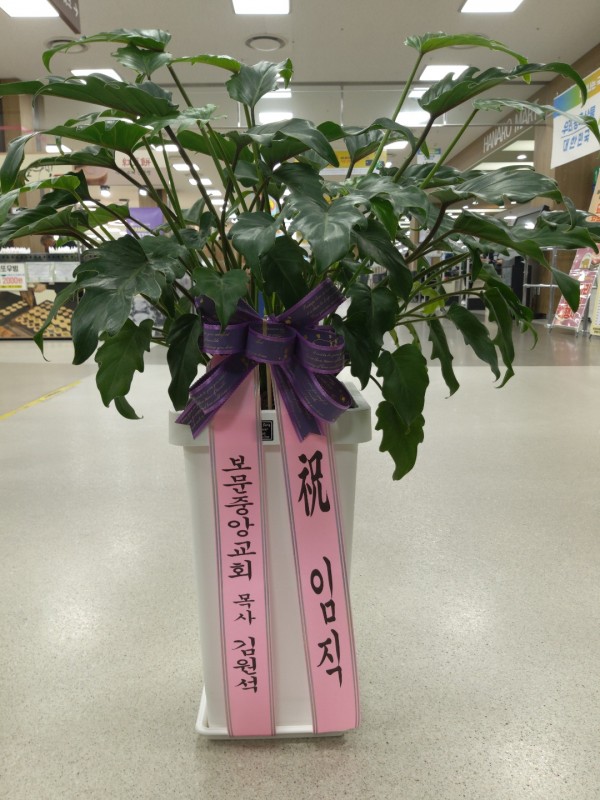 업로드 이미지