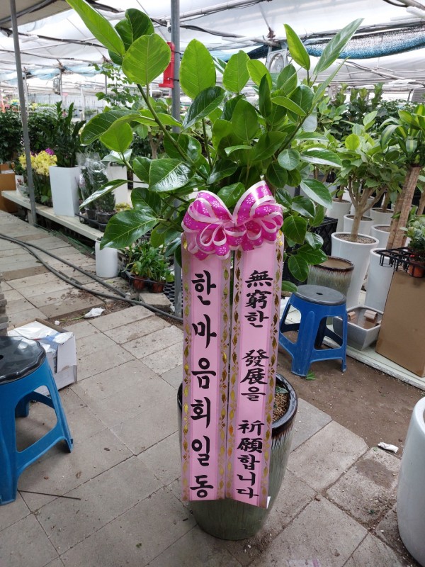 업로드 이미지