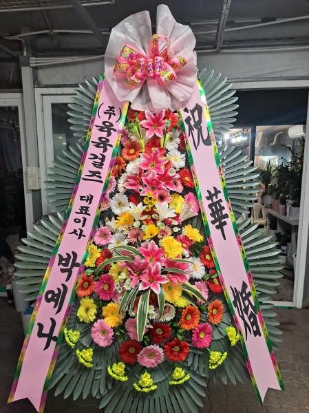 업로드 이미지