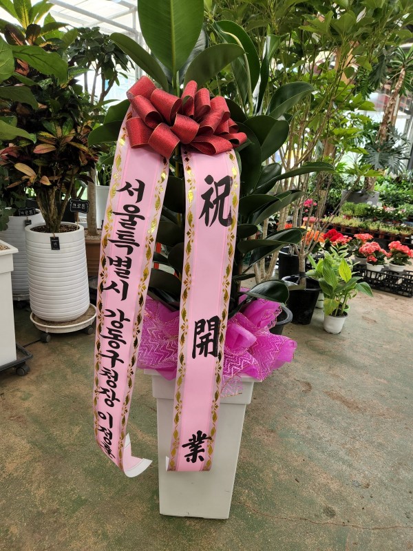 업로드 이미지