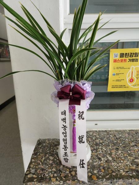 업로드 이미지