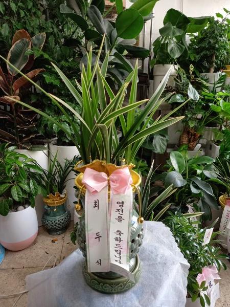 업로드 이미지