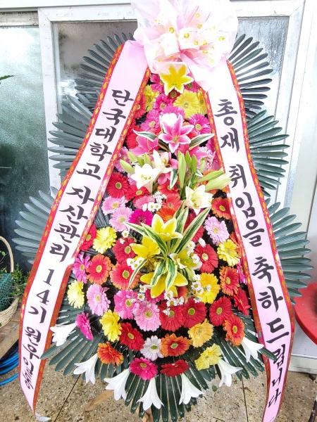 업로드 이미지