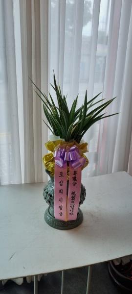 업로드 이미지