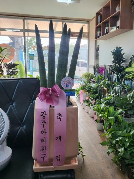 업로드 이미지