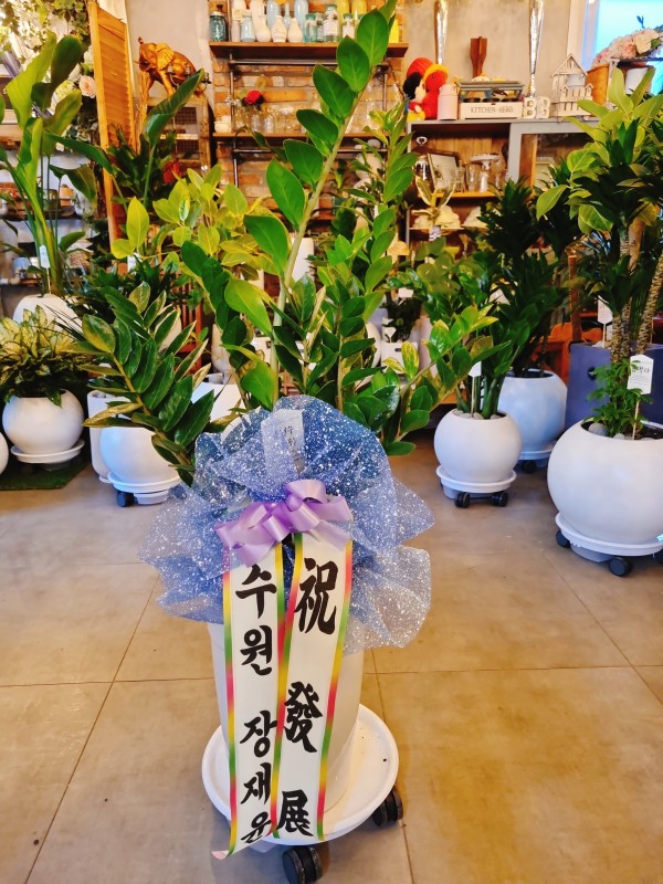 업로드 이미지