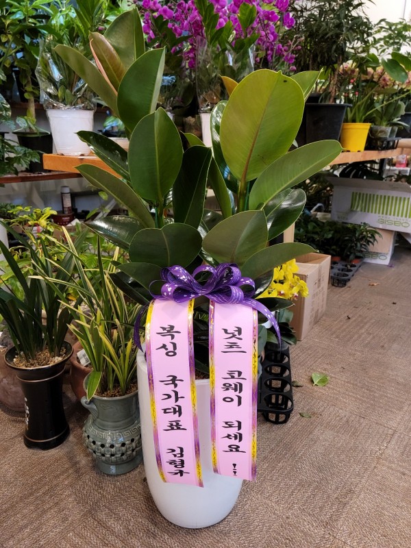 업로드 이미지