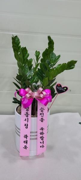 업로드 이미지
