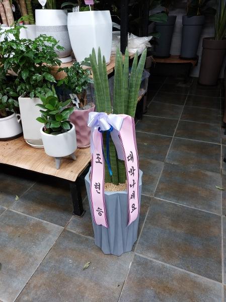 업로드 이미지