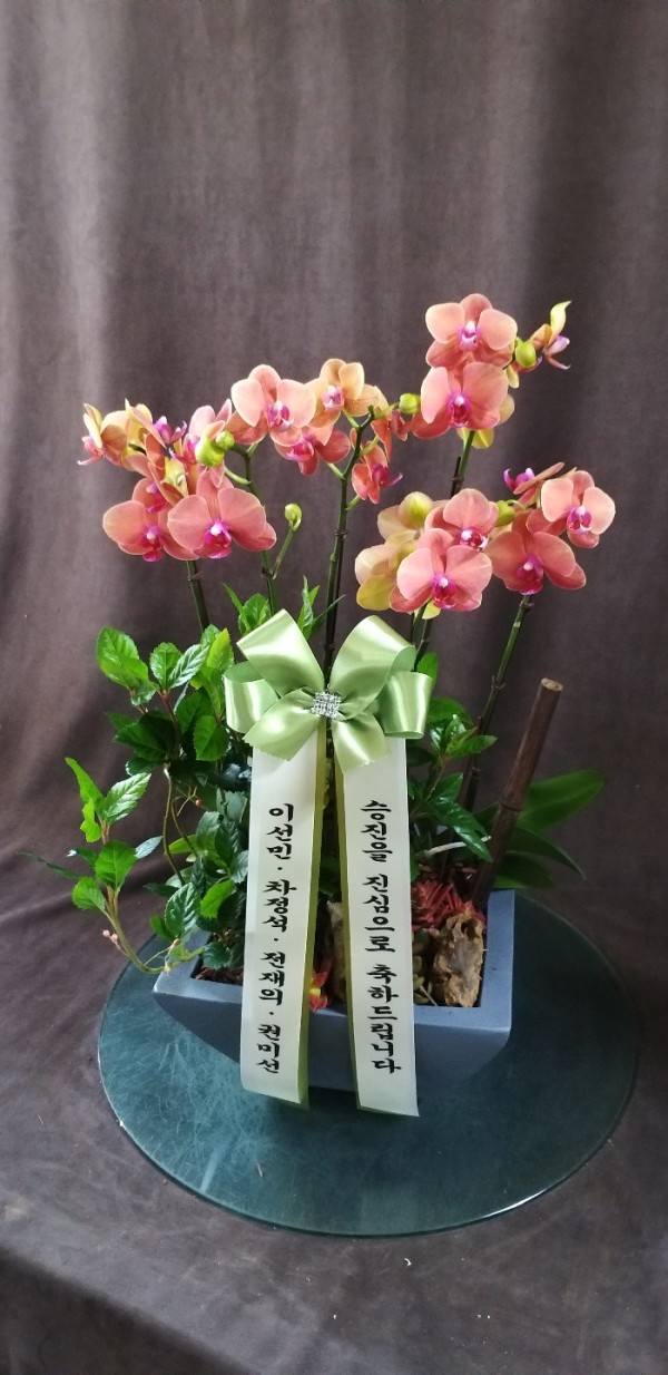 업로드 이미지