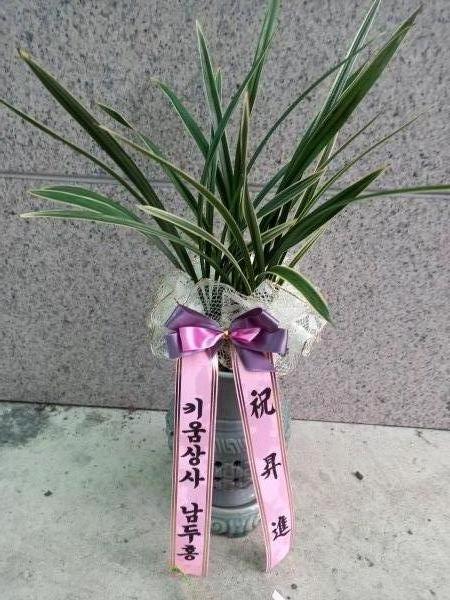 업로드 이미지