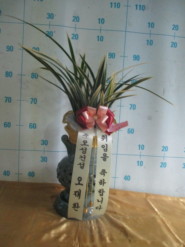 업로드 이미지