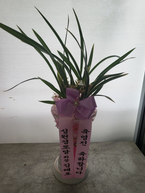 업로드 이미지