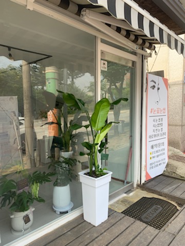 업로드 이미지