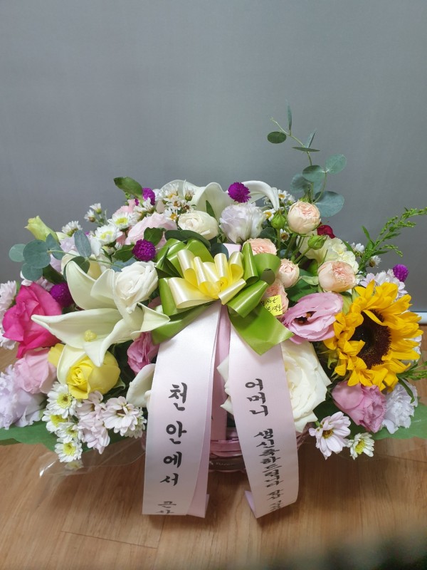 업로드 이미지
