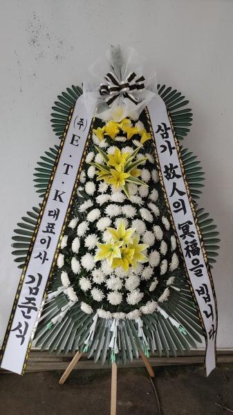 업로드 이미지
