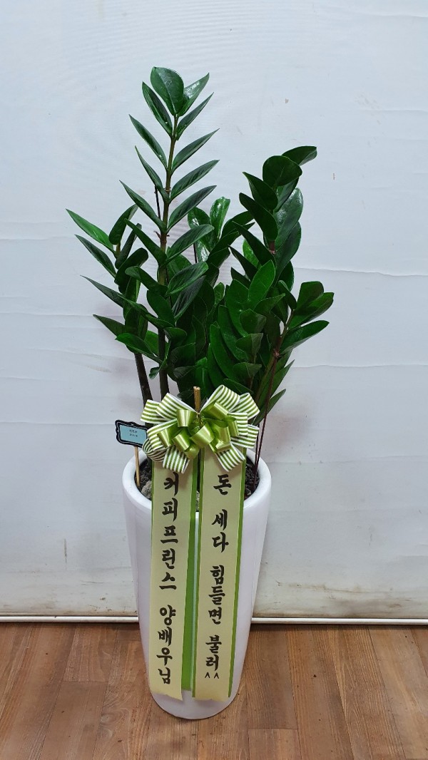 업로드 이미지
