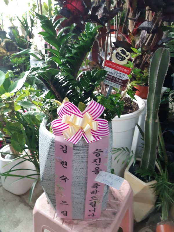 업로드 이미지