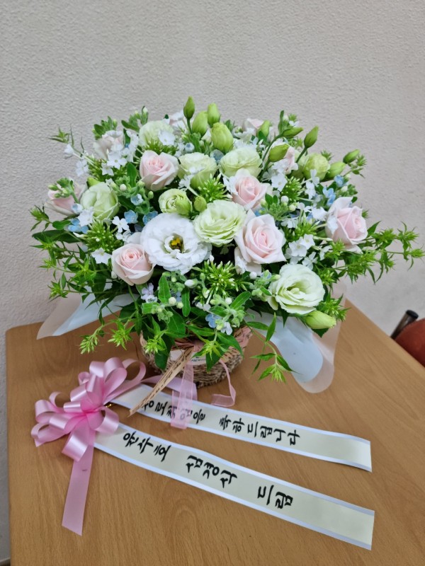 업로드 이미지