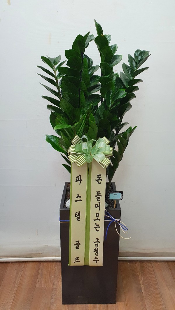 업로드 이미지