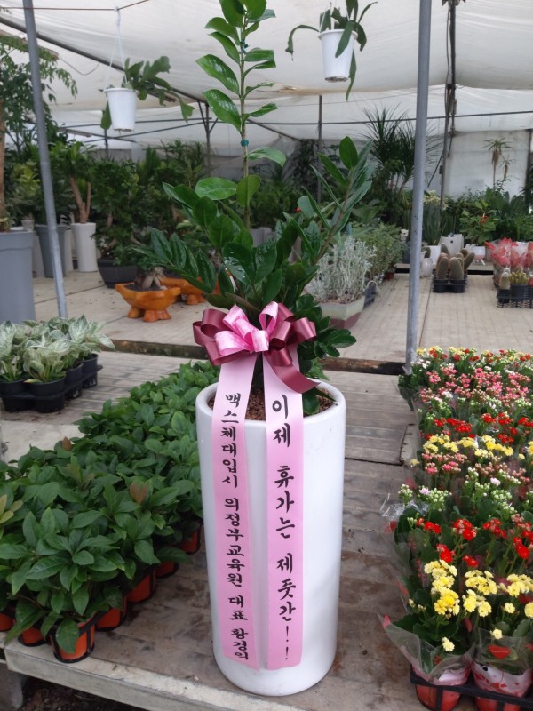 업로드 이미지