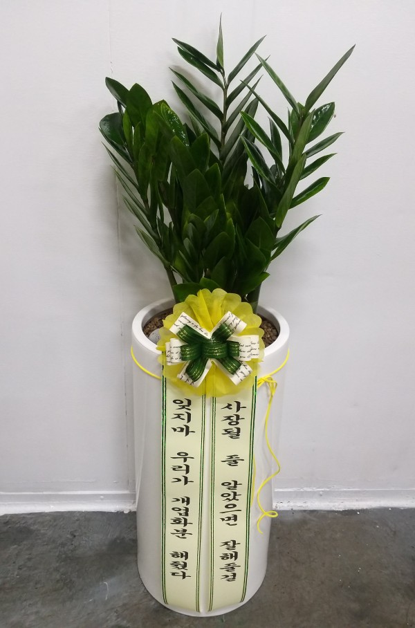 업로드 이미지