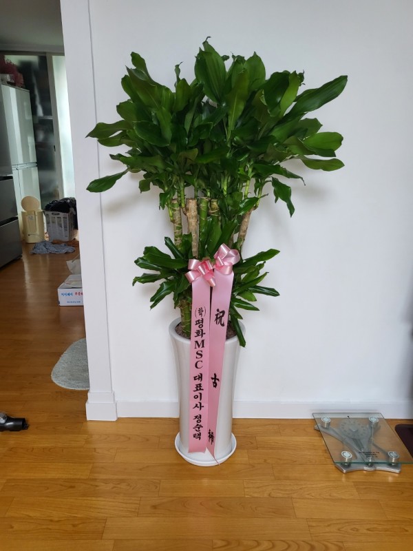 업로드 이미지