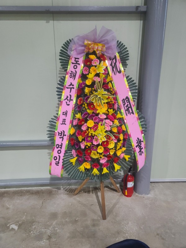 업로드 이미지