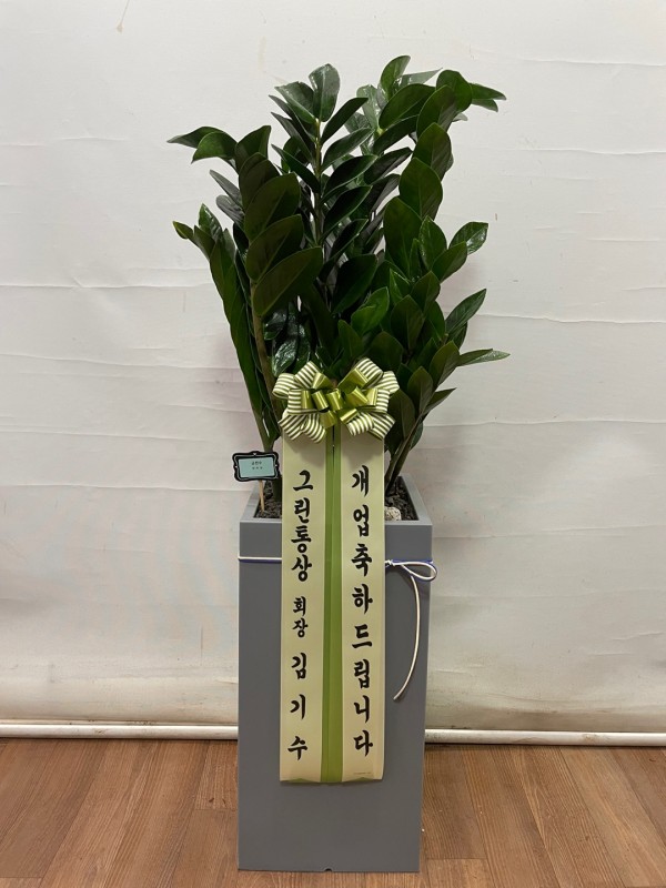 업로드 이미지