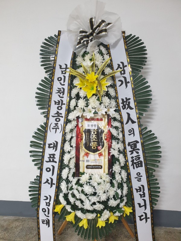 업로드 이미지
