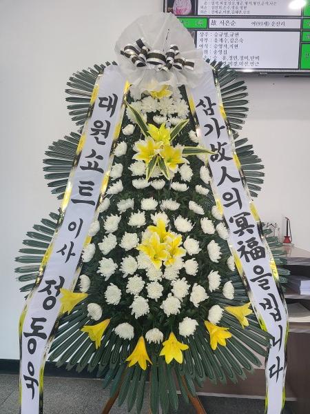 업로드 이미지