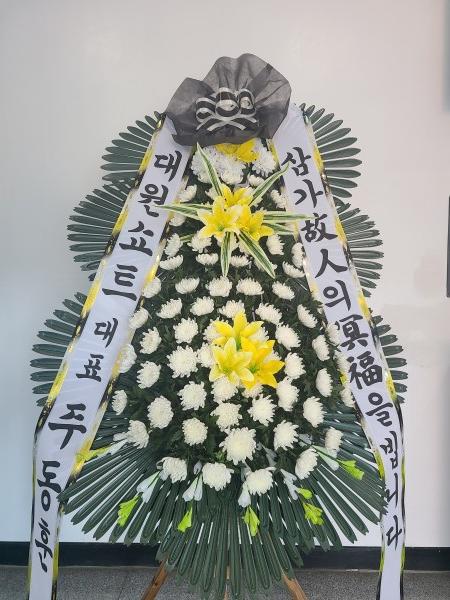 업로드 이미지