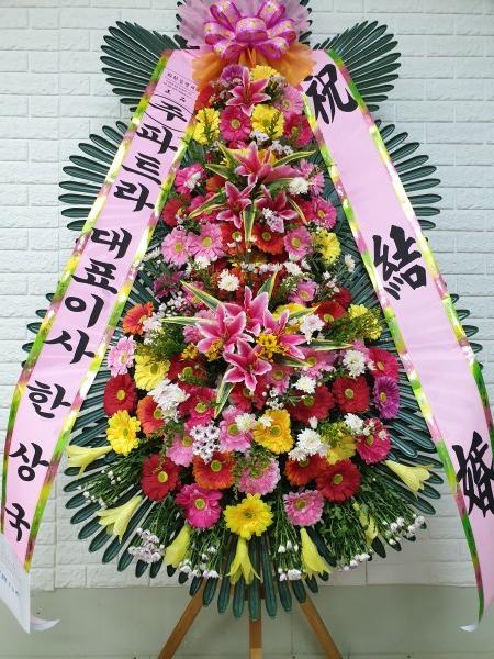 업로드 이미지