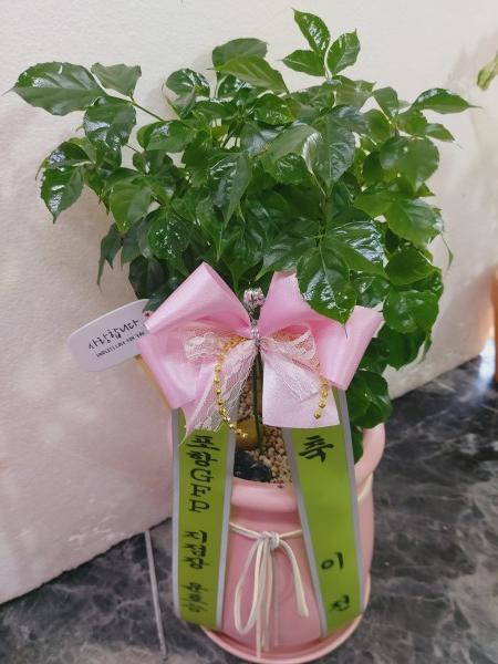 업로드 이미지