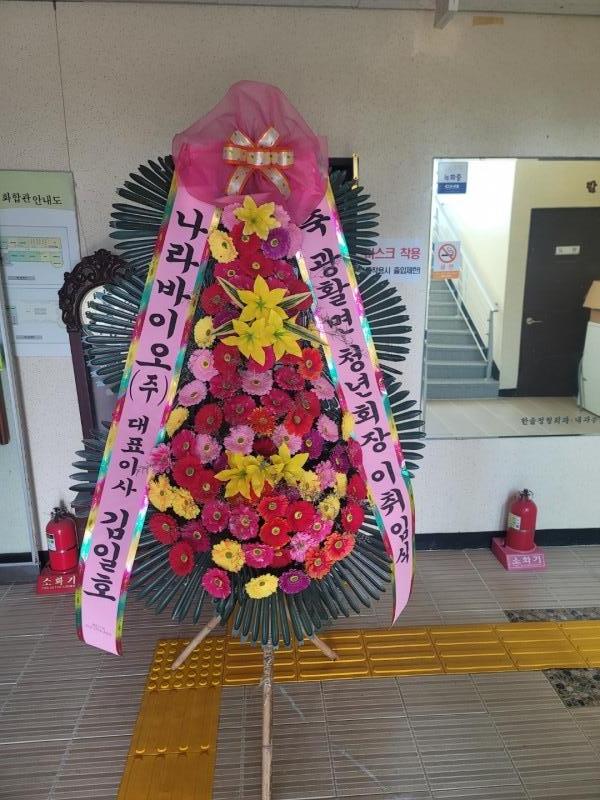 업로드 이미지