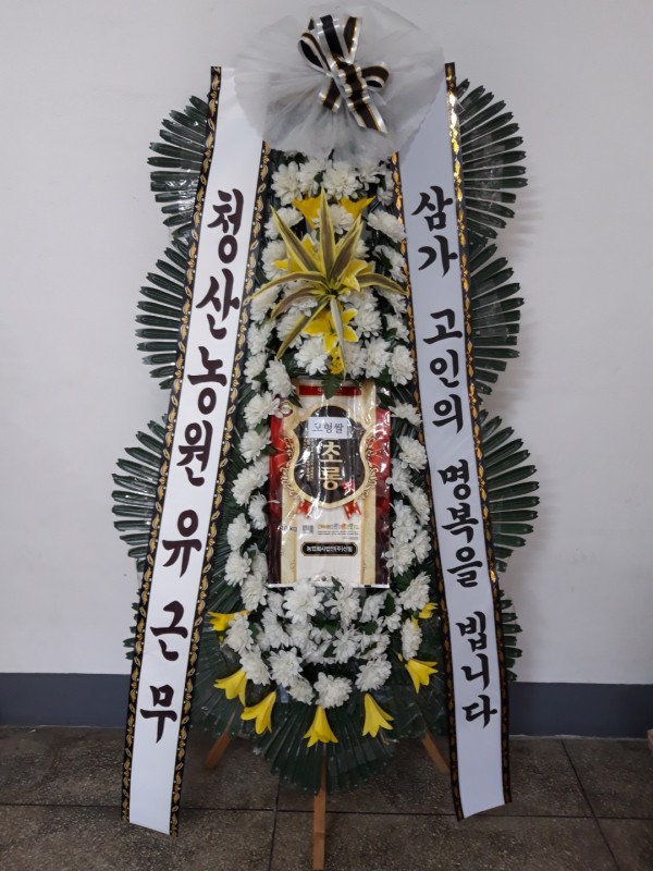 업로드 이미지