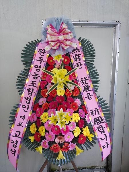 업로드 이미지