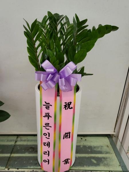 업로드 이미지