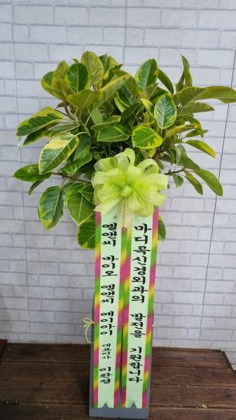 업로드 이미지