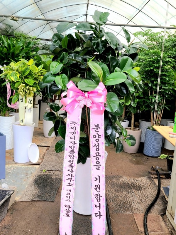 업로드 이미지
