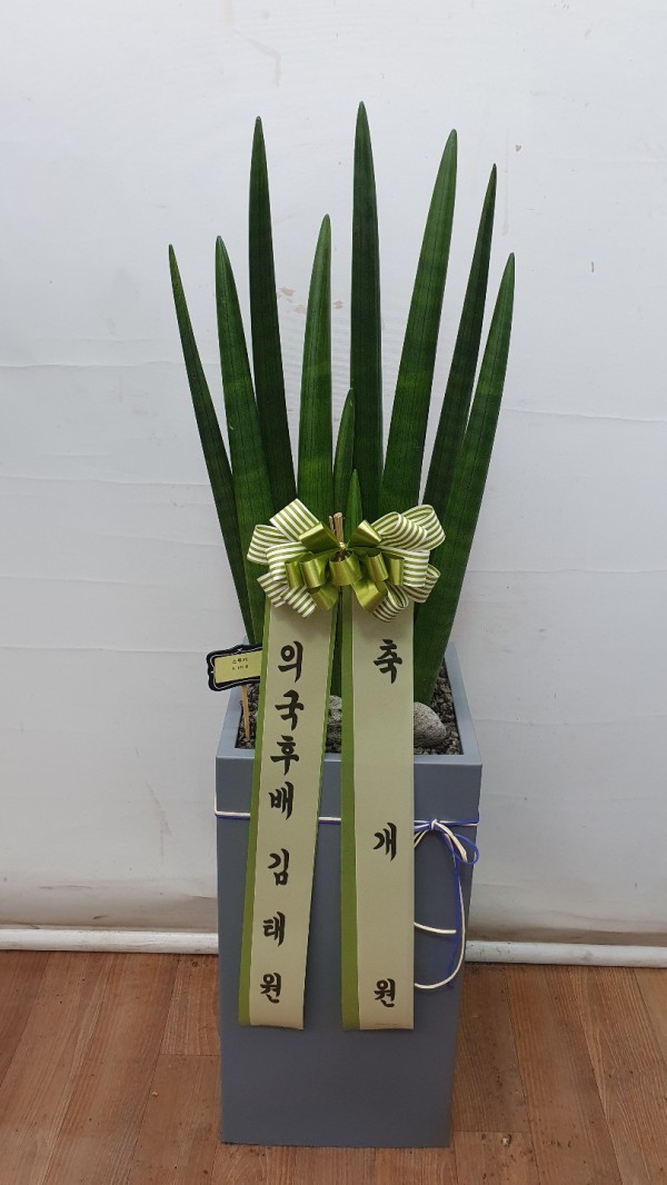 업로드 이미지